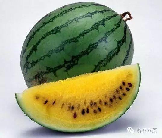 吃口瓜娱乐,揭秘娱乐圈幕后故事，带你领略明星们的真实生活
