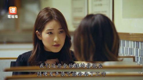 娱乐圈在线吃瓜小说,瓜田里的秘密风云录