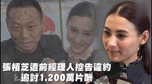 娱乐78吃瓜,揭秘娱乐圈那些吃瓜群众的幕后故事