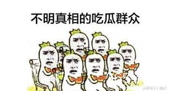 娱乐吐槽吃瓜群众,吃瓜群众热议，明星们如何应对“瓜田”风波