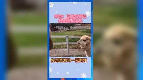 娱乐吃瓜群众2号,揭秘娱乐圈幕后故事