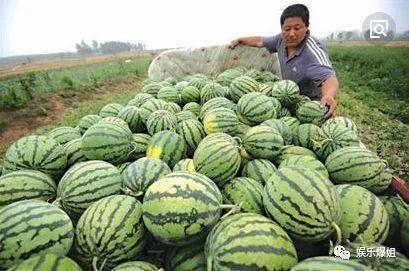 吃瓜的娱乐号,吃瓜群众视角下的明星幕后故事