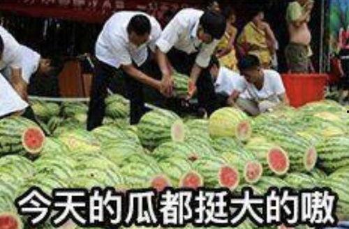 贵阳娱乐吃瓜事件,一场吃瓜群众的狂欢与反思