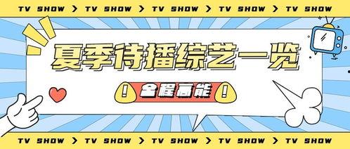 娱乐吃瓜酱营销号,吃瓜酱带你探秘明星幕后故事