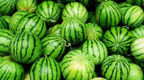 娱乐吃瓜酱算什么行业的