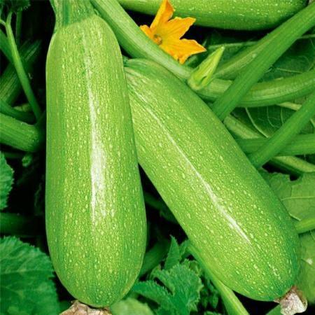 娱乐圈吃瓜三个孩子是谁,娱乐圈“吃瓜”三孩子背后的故事